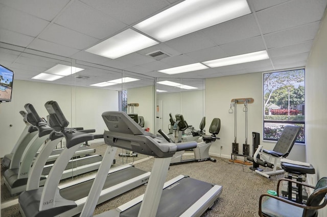 workout area featuring a paneled ceiling and carpet flooring