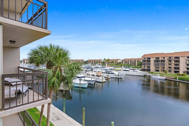 water view featuring a boat dock