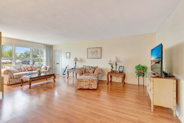 living room featuring a textured ceiling and light wood-type flooring