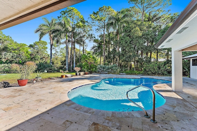 view of pool featuring a patio