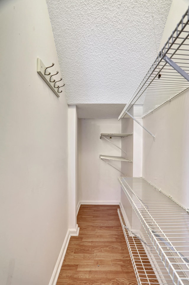 spacious closet with wood-type flooring