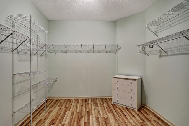 spacious closet with light hardwood / wood-style flooring