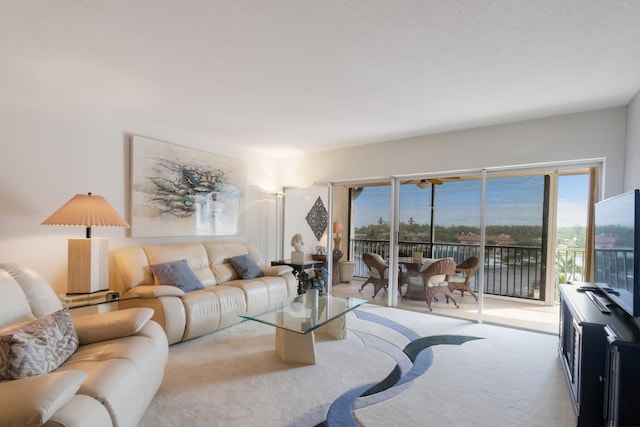 living room with light colored carpet