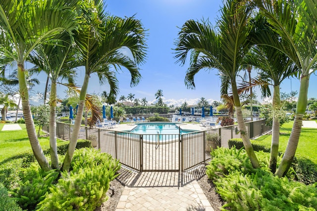 view of swimming pool