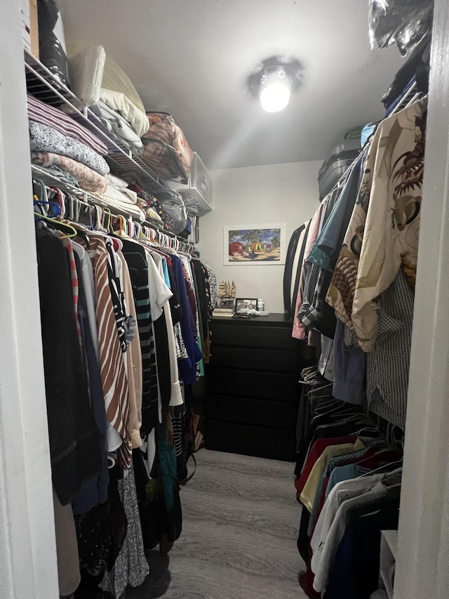 view of walk in closet