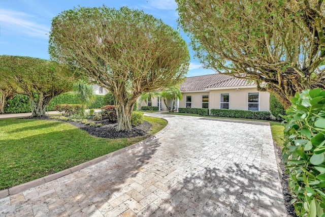 view of front of house featuring a front yard