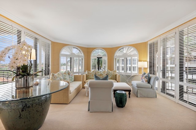 living room with light colored carpet and crown molding