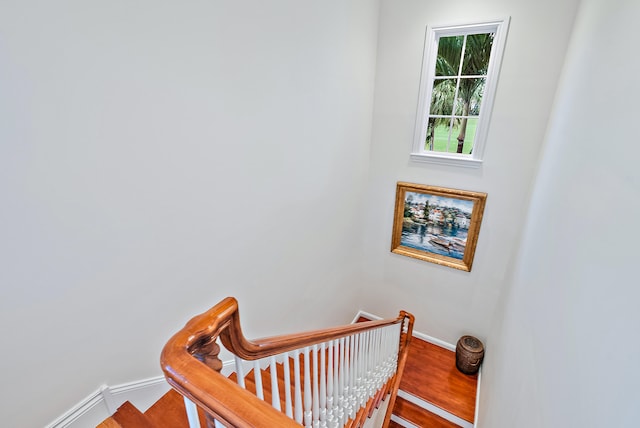 stairs featuring hardwood / wood-style floors