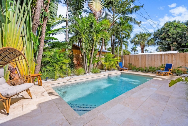 view of swimming pool featuring a patio