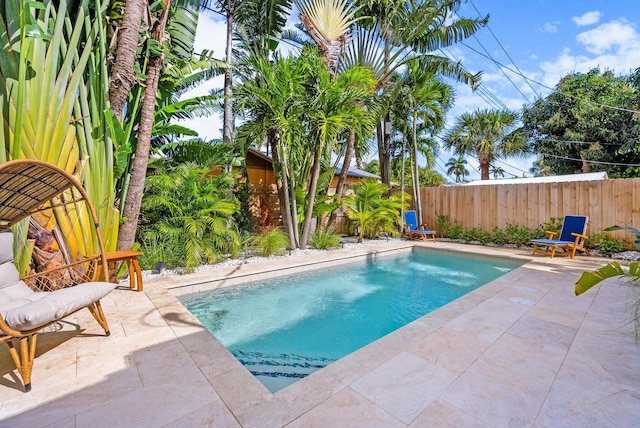 view of pool featuring a patio