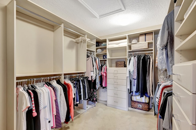 walk in closet with light colored carpet