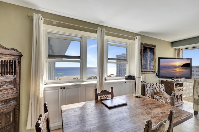 dining area featuring a wealth of natural light