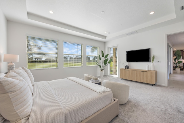 carpeted bedroom featuring a tray ceiling