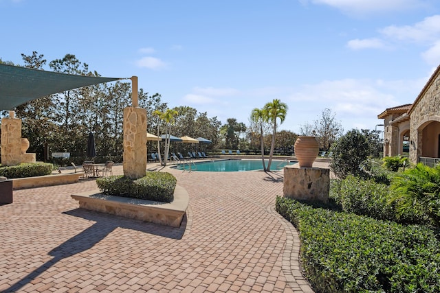 view of pool featuring a patio