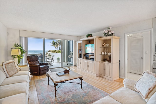 living room with a textured ceiling and light wood-type flooring