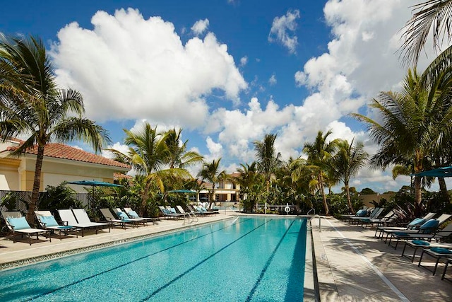 view of swimming pool featuring a patio