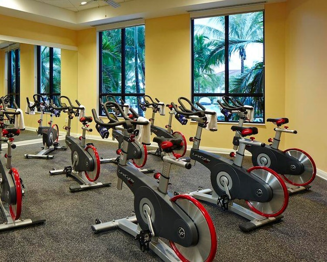 exercise room with a healthy amount of sunlight