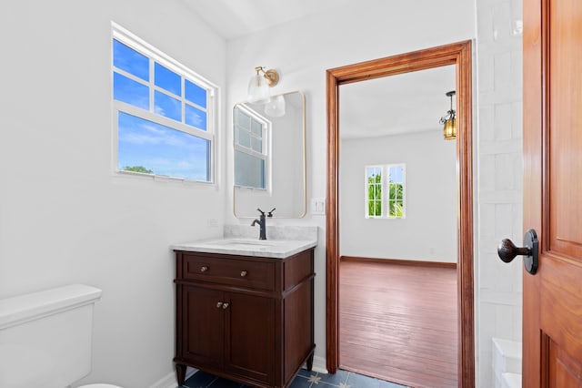 bathroom with vanity, hardwood / wood-style flooring, and toilet