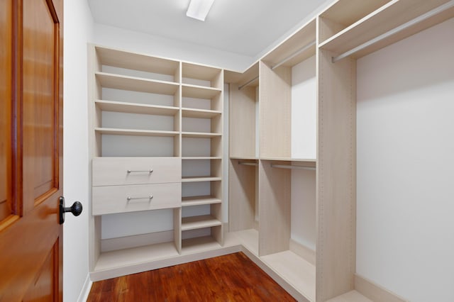 walk in closet featuring dark hardwood / wood-style floors