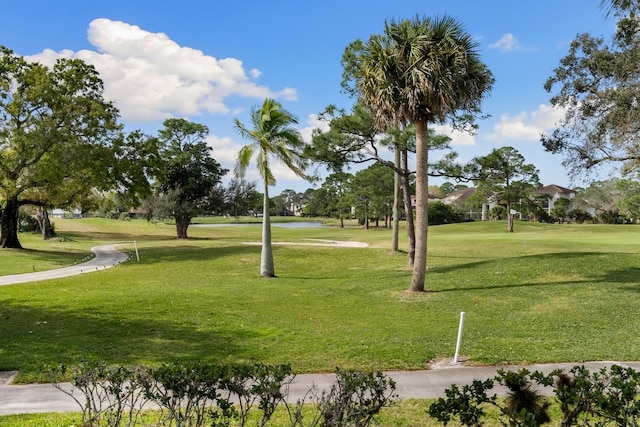 view of home's community with a lawn