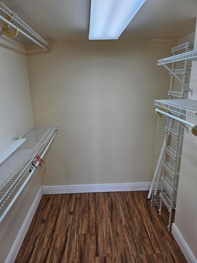 walk in closet featuring dark hardwood / wood-style flooring