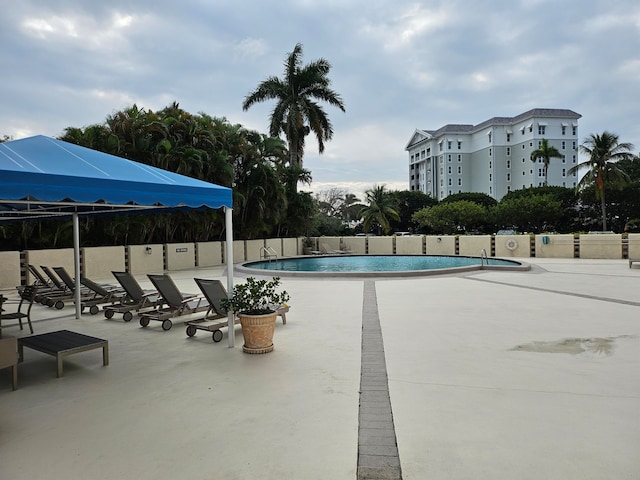 view of swimming pool with a patio area