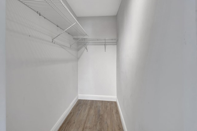 spacious closet featuring wood-type flooring