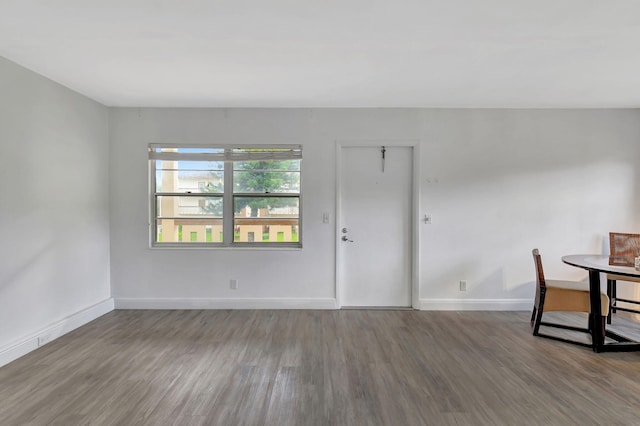 entryway featuring hardwood / wood-style flooring