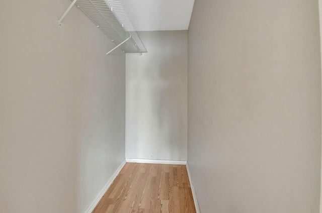 walk in closet featuring light hardwood / wood-style floors