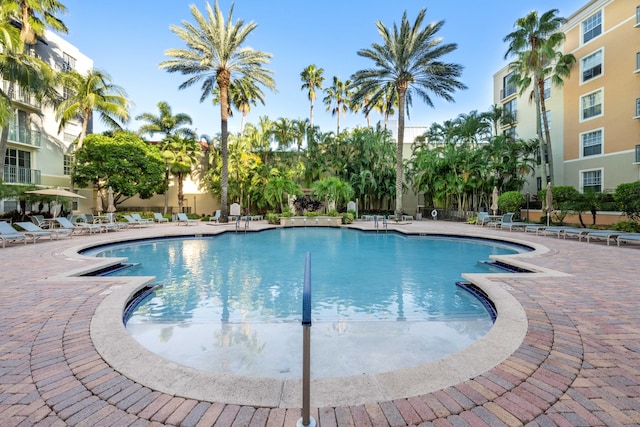 view of pool with a patio area