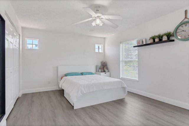 bedroom featuring ceiling fan, light hardwood / wood-style floors, and multiple windows