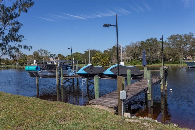 dock area with a water view