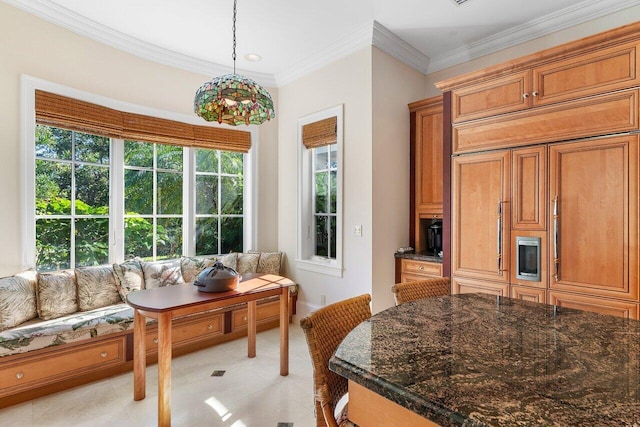 interior space with crown molding and a healthy amount of sunlight