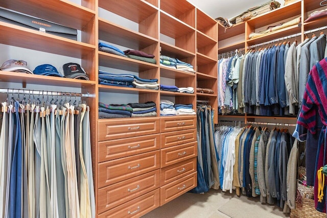 view of walk in closet