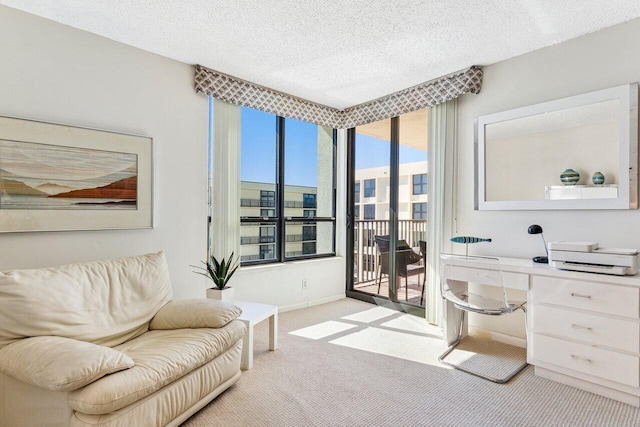 interior space with light carpet, a healthy amount of sunlight, and a textured ceiling