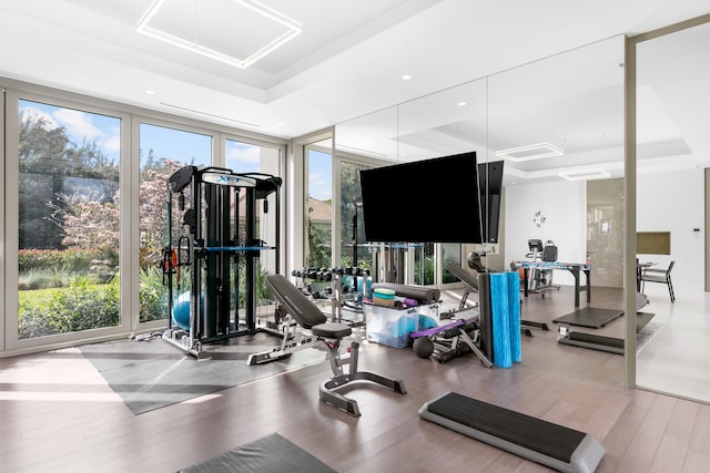 workout area featuring a wall of windows, a raised ceiling, and light wood-type flooring