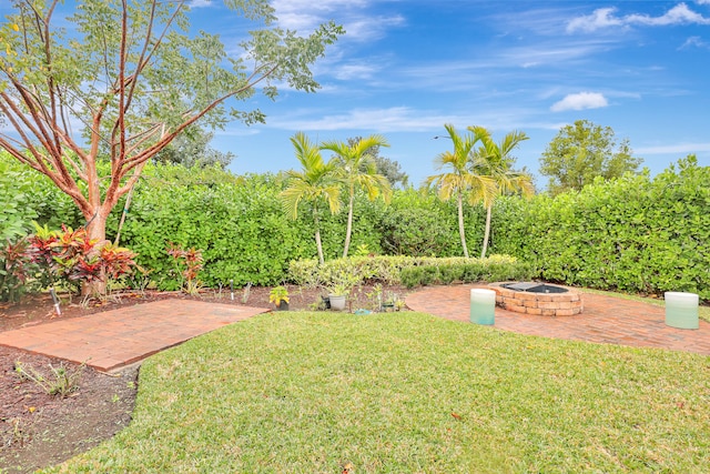 view of yard featuring a fire pit and a patio area