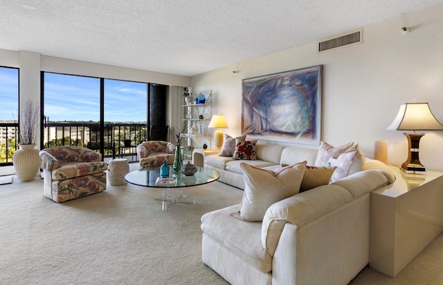 carpeted living room with a textured ceiling