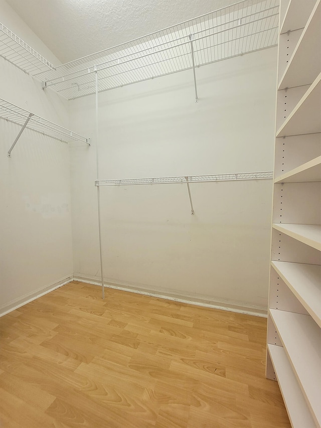 spacious closet with wood-type flooring