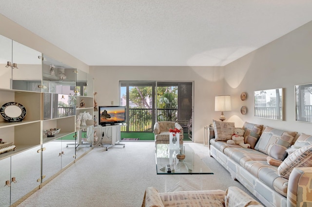 living room with carpet and a textured ceiling