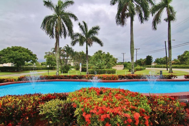 view of swimming pool