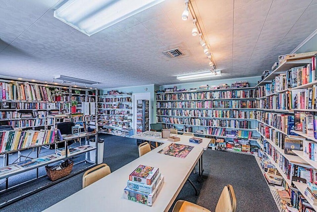 home office featuring track lighting and carpet