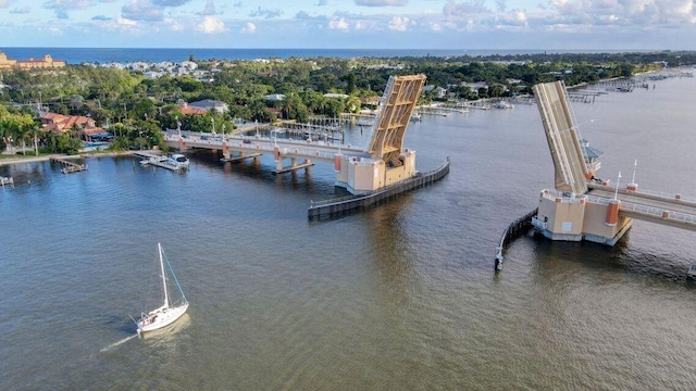 drone / aerial view with a water view