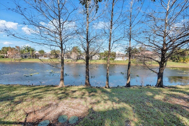 view of water feature