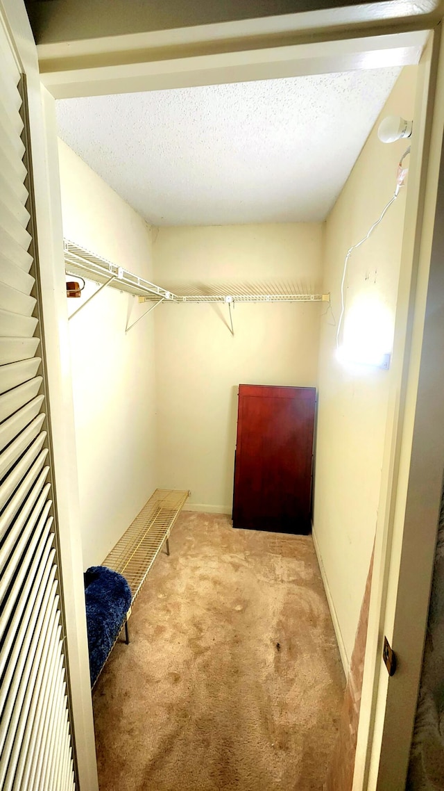 walk in closet featuring light colored carpet