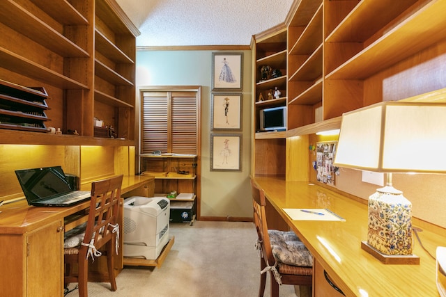 carpeted office space featuring crown molding and a textured ceiling