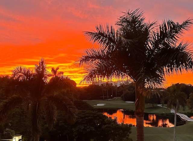 view of nature at dusk