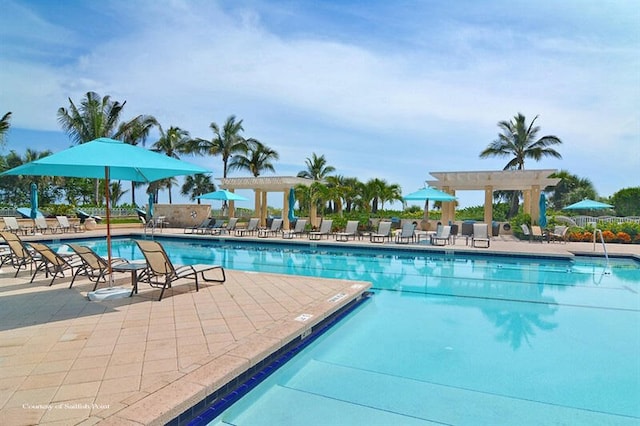 view of pool featuring a patio