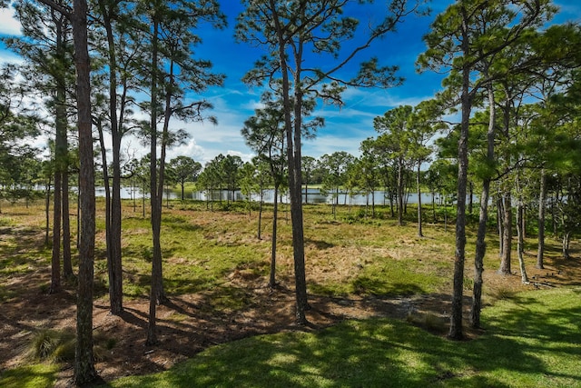 view of yard featuring a water view