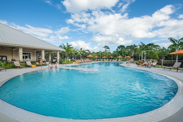 view of swimming pool with a patio area